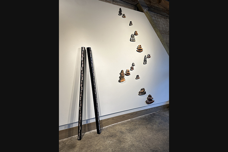 ann schwab | cairns, installed, 5 press gallery
