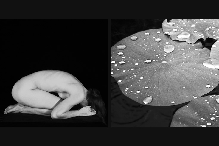 ann schwab | coalescence