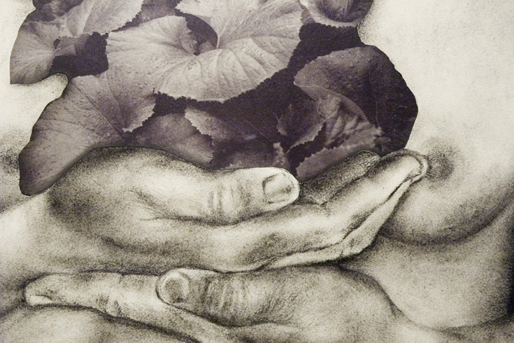 ann schwab | cradle