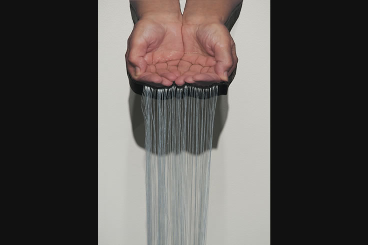 ann schwab | cupped, detail