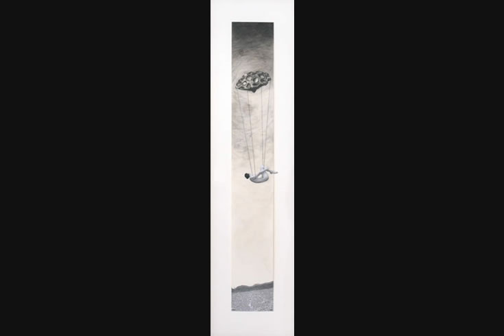 ann schwab | floating