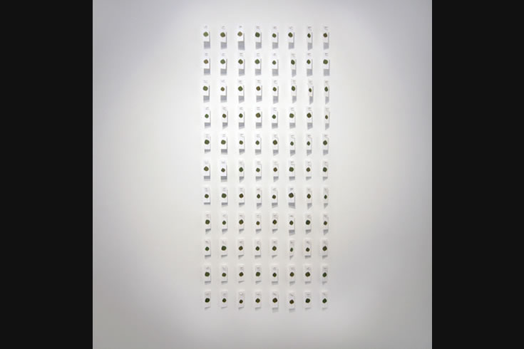 ann schwab | fluttering machine