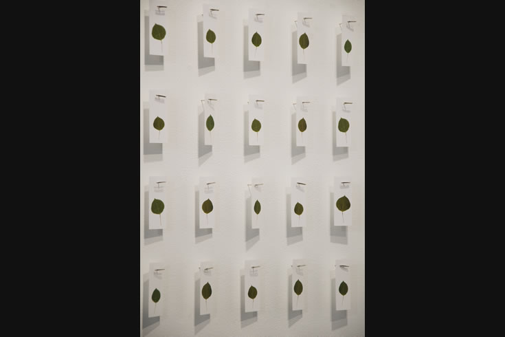 ann schwab | fluttering machine, detail