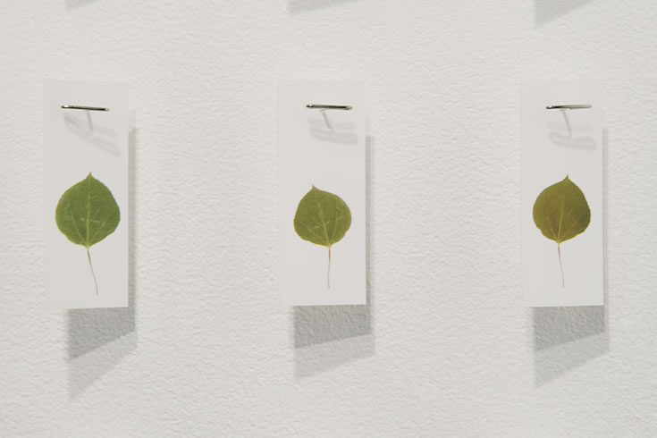 ann schwab | fluttering machine, detail