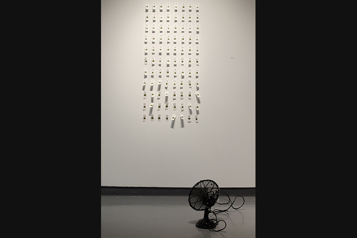 ann schwab | fluttering machine