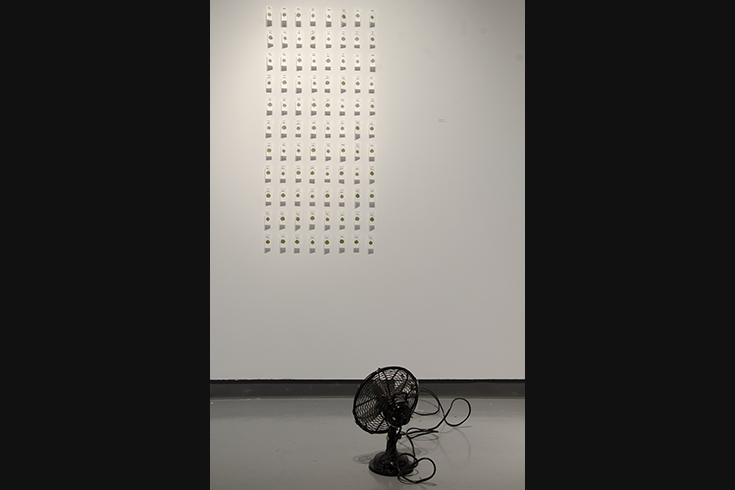 ann schwab | fluttering machine