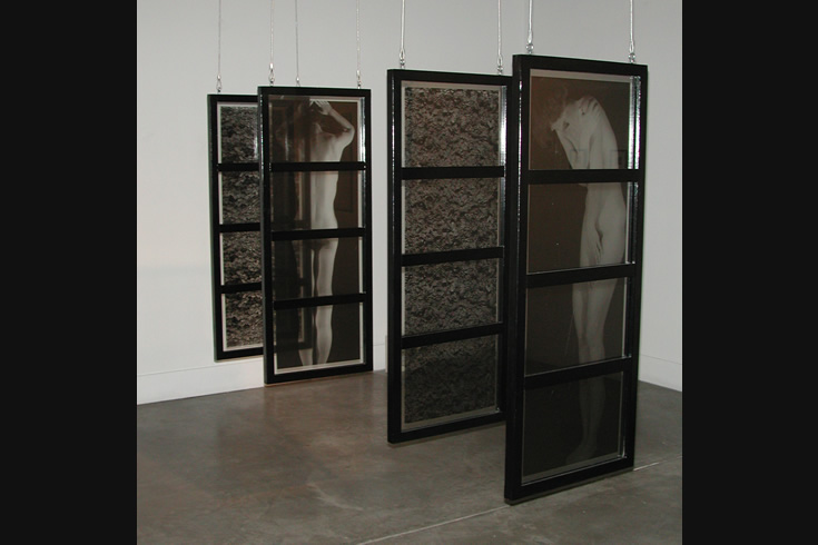 ann schwab | forest