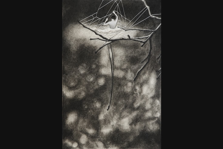 ann schwab | grasp
