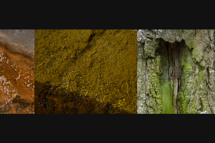 ann schwab | habitats 1