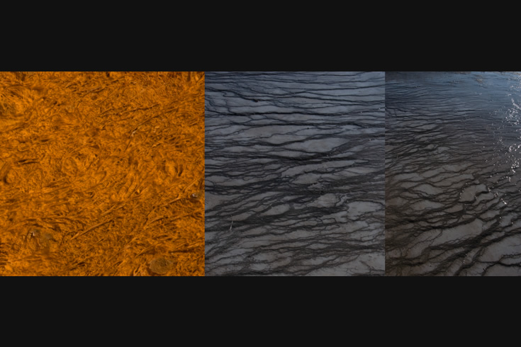 ann schwab | habitats 2