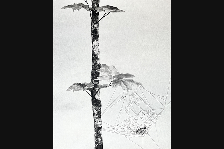 ann schwab | held, left panel