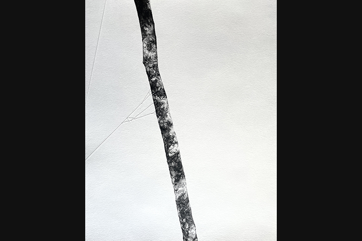 ann schwab | held, right panel