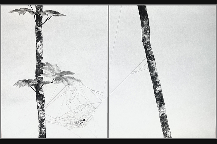 ann schwab | held diptych