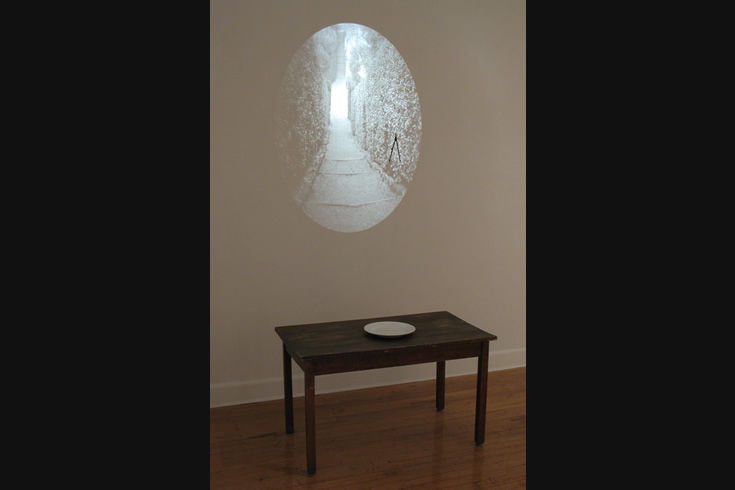 ann schwab | home