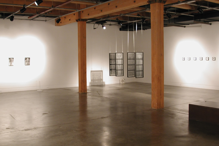 ann schwab | installation