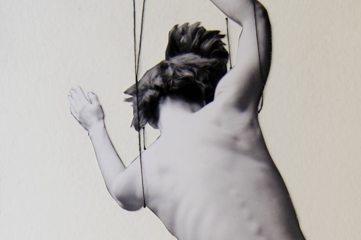 ann schwab | landing, detail
