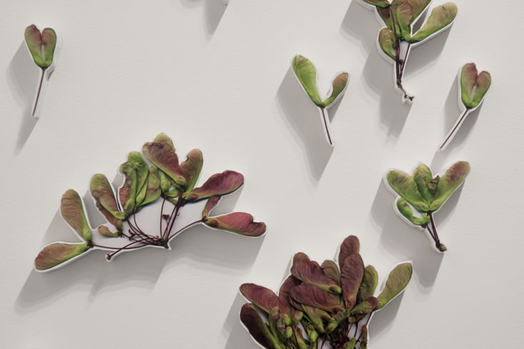 ann schwab | lilt, detail 2