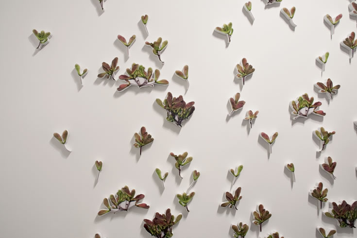 ann schwab | lilt, detail