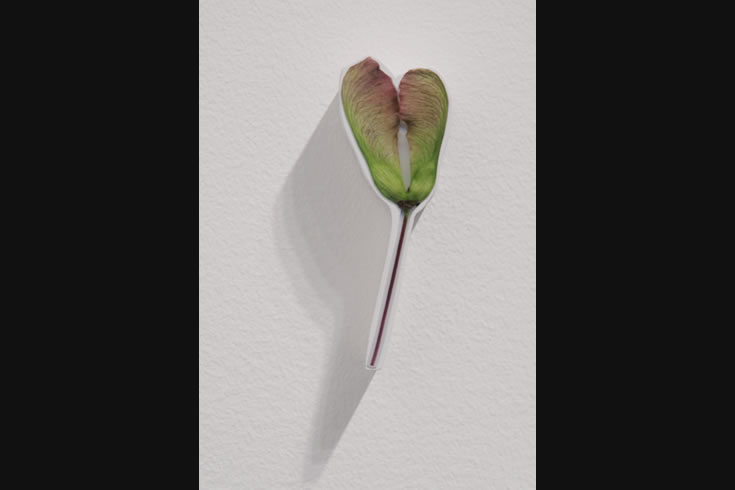 ann schwab | lilt, detail 3