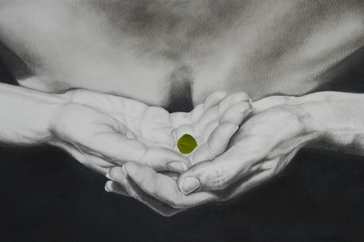 ann schwab | offering