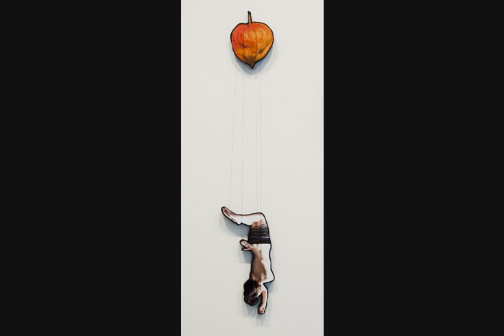 ann schwab | parachute 11