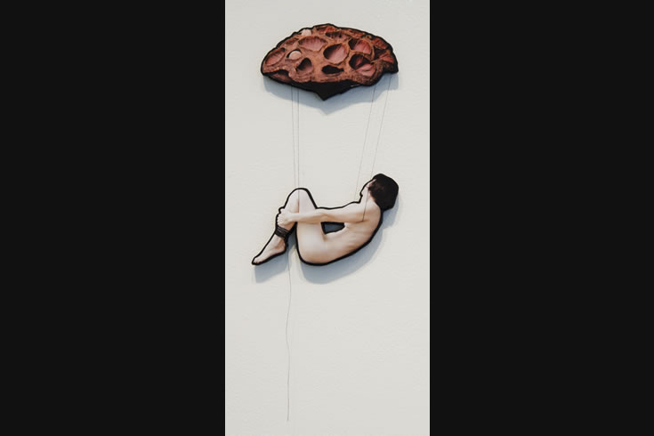 ann schwab | parachute 4