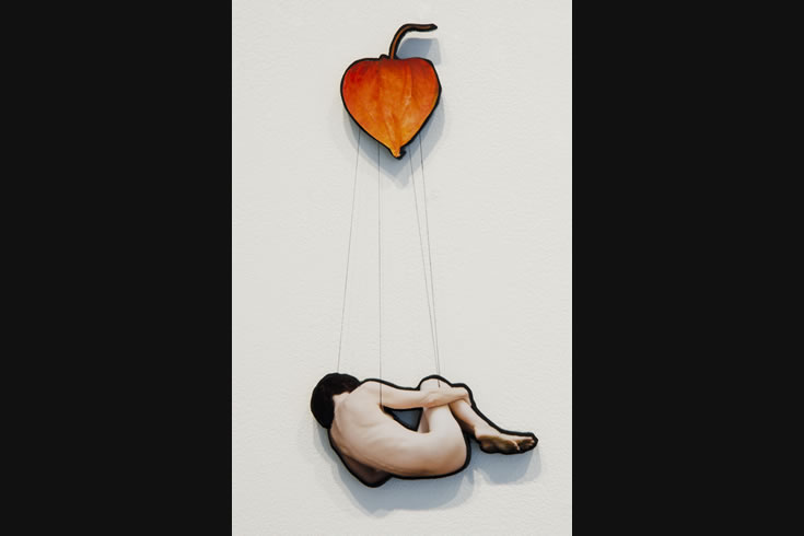 ann schwab | parachute 6