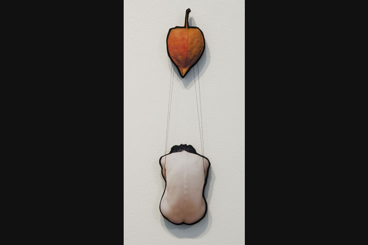 ann schwab | parachute 7