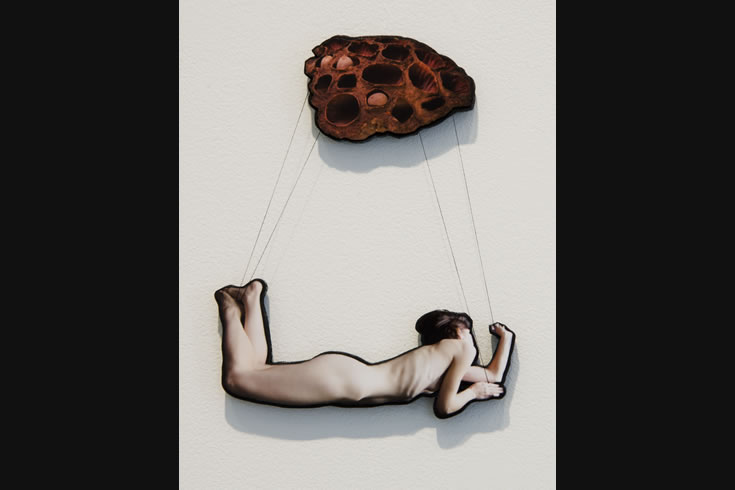 ann schwab | parachute 9