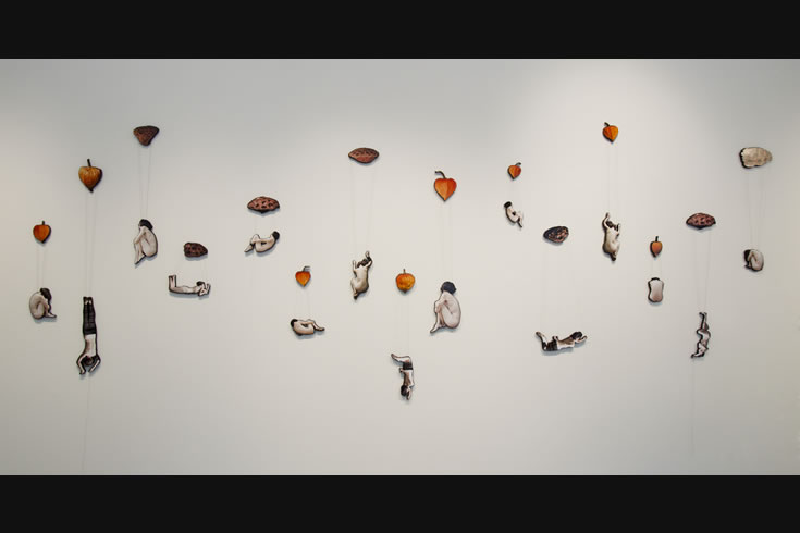 ann schwab | parachutes