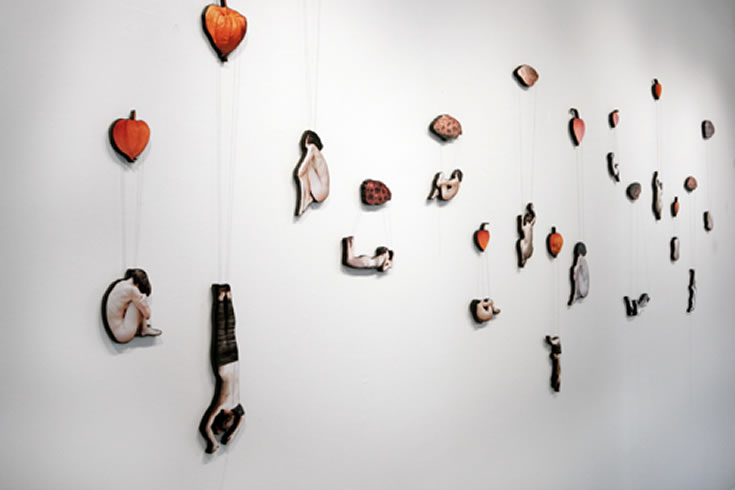 ann schwab | parachutes