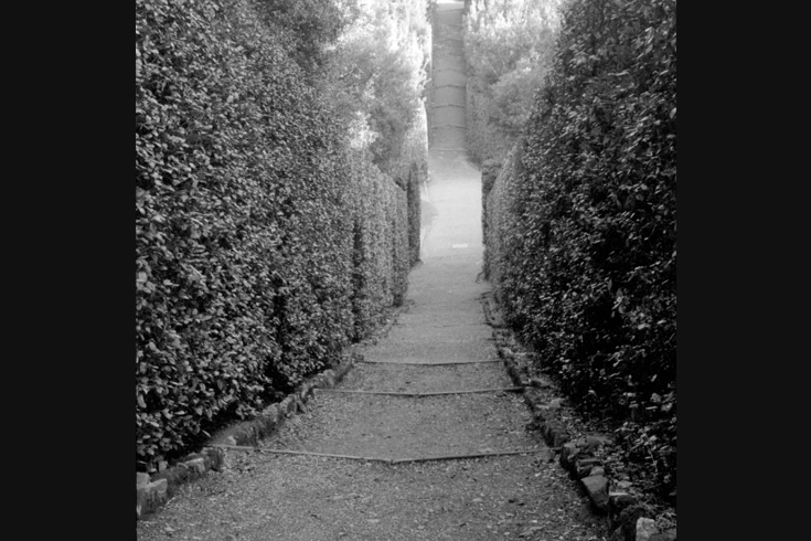 ann schwab | passage