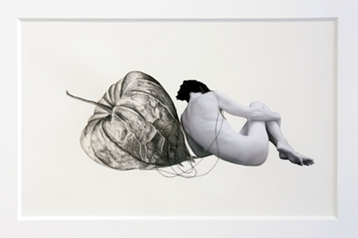 ann schwab | recline