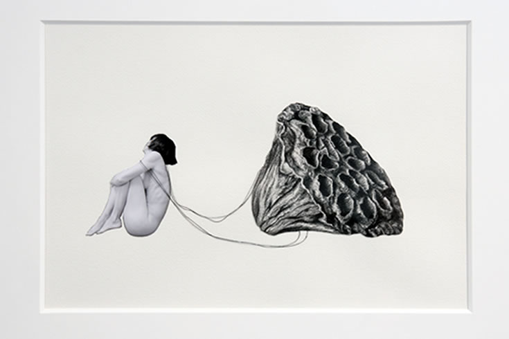 ann schwab | respite