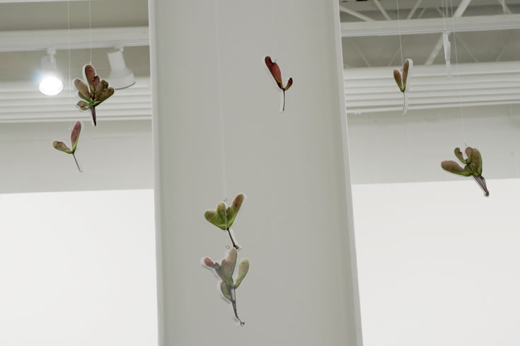 ann schwab | rings 1, 2 and 3