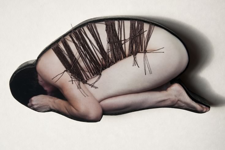 ann schwab | seed cone, detail