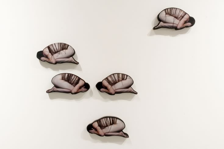 ann schwab | seed cones