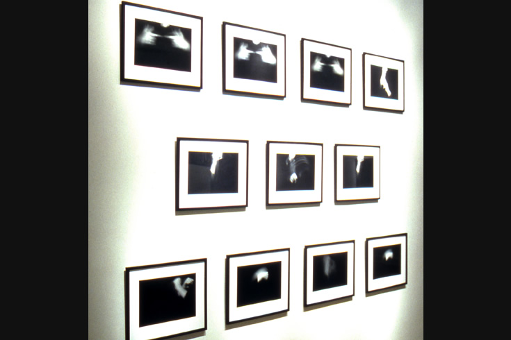 ann schwab | sign language series