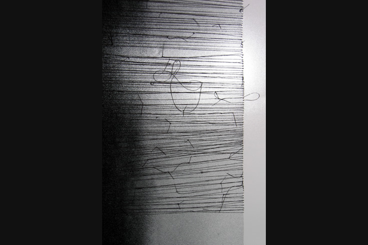 ann schwab | splint