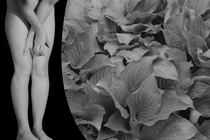 ann schwab | splitscreen: crouchblanket