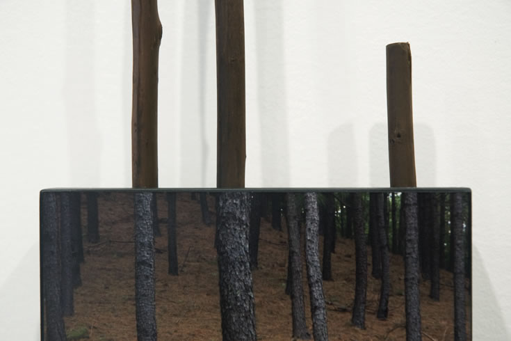 ann schwab | steadfast 1, detail