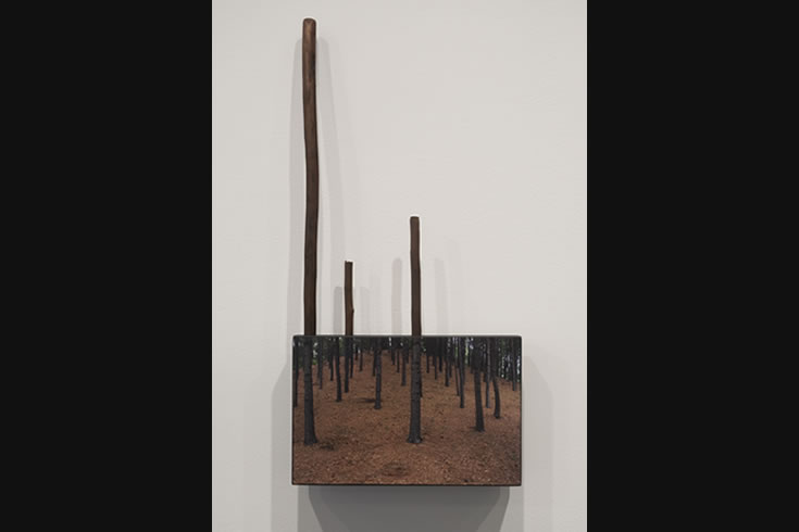 ann schwab | steadfast 2