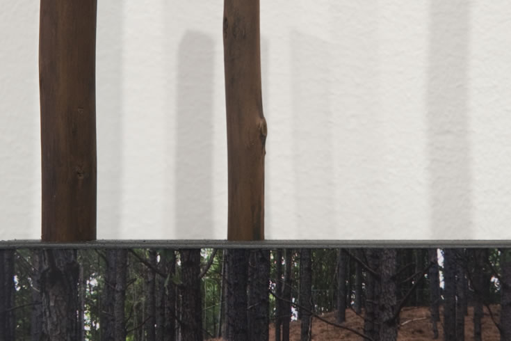 ann schwab | steadfast 2, detail