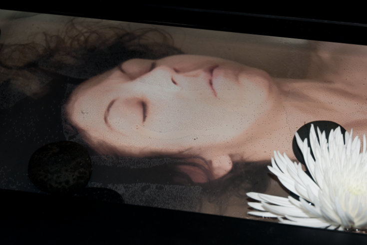 ann schwab | submerged detail