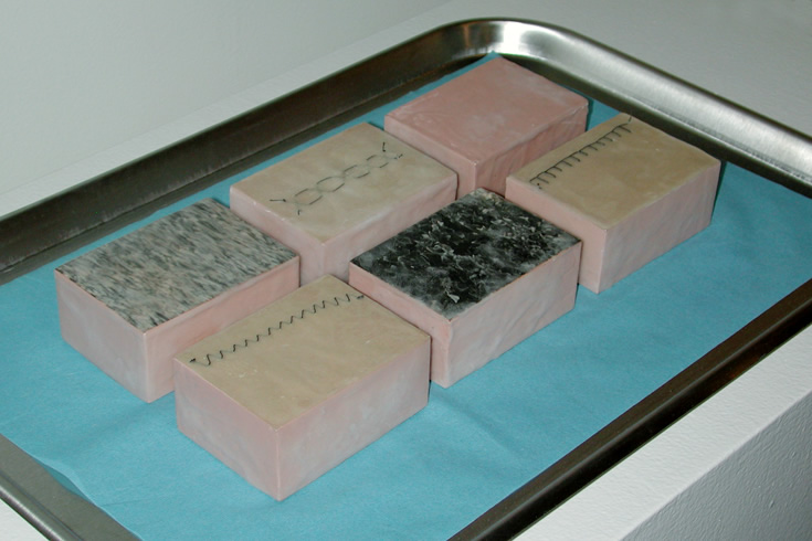 ann schwab | tissue sample