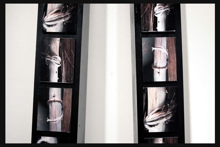 ann schwab | tourniquet 2, detail