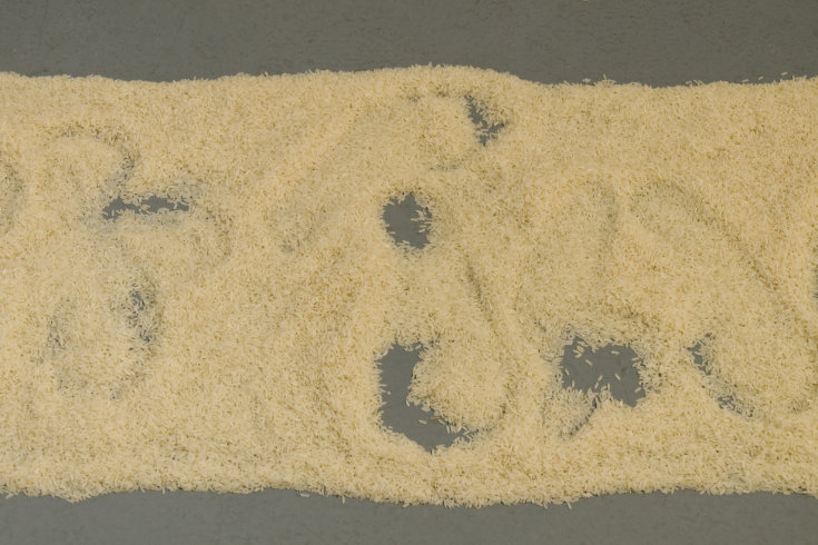 ann schwab | trace, detail