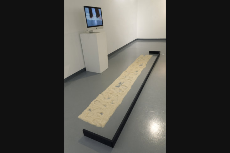 ann schwab | trace, installation