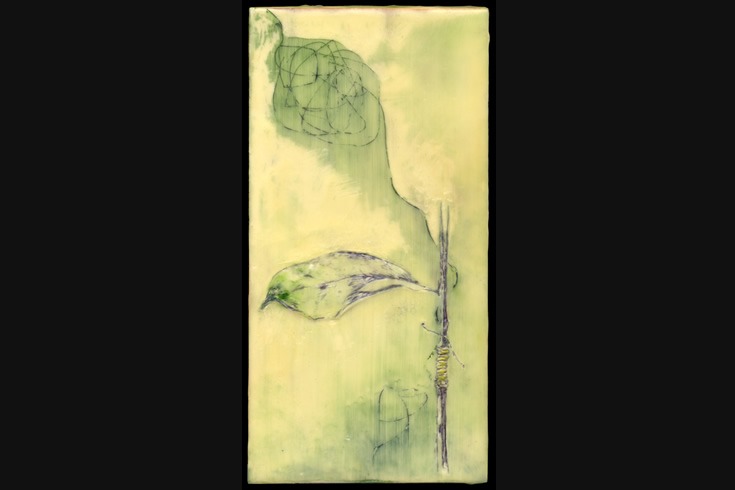 ann schwab | twig