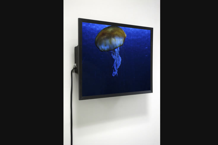ann schwab | ultrasound 3